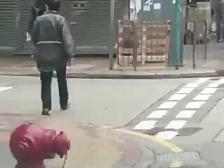 Naked man walking in the street - ThisVid.com