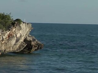 Sex On The Beach (Brent Everett, Eric Clark)